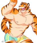 anthro biceps fur kemono male muscular muscular_anthro muscular_male nipples pecs solo ginnosuke felid mammal pantherine tiger 2018 hi_res