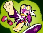 3_toes anthro barefoot blue_eyes clothed clothing feet female foot_focus purple_body soles solo toes baggy_(artist) sega sonic_riders sonic_the_hedgehog_(series) wave_the_swallow avian bird hirundinid oscine passerine swallow_(bird) hi_res