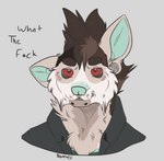 annoyed anthro clothing disgust jacket leather leather_clothing leather_jacket leather_topwear male mohawk profanity solo topwear wtf_face possumgod harvey_yeenpeenl0rd_(possumgod) hyena mammal bust_portrait portrait sketch