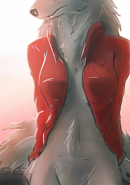 anthro bottomless breasts clothed clothing crotch_lines female fur grey_body grey_fur hoodie jacket open_clothing open_hoodie open_jacket open_topwear pose small_breasts solo sunset topwear kadesfy canid canine canis mammal wolf absurd_res hi_res