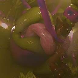 anthro balls big_tongue bodily_fluids carnivorous_plant duo erection fellatio feral first_person_view forced genitals hair hyper hyper_tongue licking lips long_tongue macro male mouth_play mouth_shot nude open_mouth oral penile penis penis_lick penis_on_tongue plant plant_pred saliva saliva_on_tongue saliva_string sex size_difference tongue tongue_out uvula vore silly_roll lucky_f_(silly_roll) canid canine fox mammal animated short_playtime video