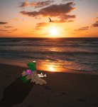 backpack beach hair male sea shadow solo spiky_hair stock_image sunset water wave anonandrew13 nintendo pokemon phoenix_flight avian bird decidueye generation_7_pokemon pokemon_(species)