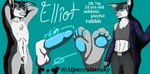 anthro athletic blue_insides cyanotic_epithelium femboy genitals male nude paws penis solo text alpaccasneaky eli_(alpaccasneaky) lagomorph leporid mammal rabbit english_text hi_res model_sheet