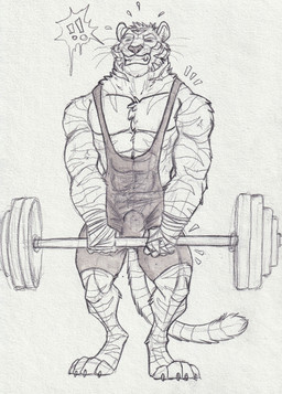 abs anthro bandaged_hand barbell bared_teeth bodily_fluids bulge clothed clothing detailed_bulge exercise eyes_closed front_view genital_outline male male_anthro muscular muscular_anthro muscular_male pecs sheath_outline solo standing striped_arms striped_legs sweat sweatdrop teeth weightlifting whiskers workout hufnaar felid mammal pantherine tiger absurd_res full-length_portrait hi_res monochrome portrait sketch