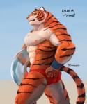 abs anthro beach biceps big_muscles biped butt clothed clothing detailed_background fur looking_at_viewer male muscular muscular_anthro muscular_male nipples outside pecs pink_nose sand sea seaside sky solo speedo standing stripes swimwear topless water gawein-dragon felid mammal pantherine tiger