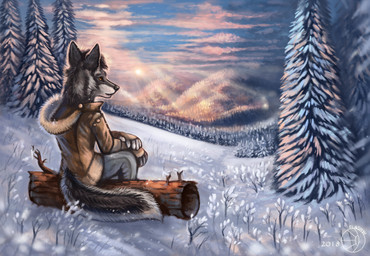 5_fingers ambiguous_gender anthro biped black_body black_fur black_lips black_nose bottomwear breath brown_eyes clothed clothing cloud countershade_torso countershading day detailed_background detailed_fur fingers fluffy fluffy_tail forest fur grey_body grey_fur hair hand_on_knee hand_on_leg humanoid_hands jacket light light_beam lips log looking_up mane mane_hair nature no_sclera outside pants plant rear_view scenery shadow sitting sky snout snow solo sun sunbeam sunlight tail topwear tree whiskers white_body white_countershading white_fur winter wood flashw koda_(graamis) canid canine canis domestic_dog mammal 2018 detailed digital_drawing_(artwork) digital_media_(artwork) hi_res