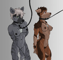 abs accessory angry anthro bdsm biceps bondage bound breasts collar dog_tags duo female genitals headband leash muscular muscular_female navel nipples nude prisoner pubes red_eyes simple_background slave vulva wide_hips marsonaut deebo canid canine canis coyote hyena mammal striped_hyena