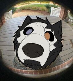 ambiguous_form ambiguous_gender black_body bone feral fisheye_lens heterochromia skull skull_head solo dogguni aegos_(dogguni) canid canine mammal tagme