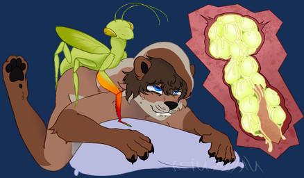 anthro bodily_fluids cum cum_inside duo egg ejaculation female feral fur genital_fluids genitals intersex intersex/male male oviposition pawpads paws penetration penis sex tail teeth text x-ray_view nath4ni3l nathaniel_(nath4niel) arthropod insect mammal mantis mustelid otter alpha_channel artist_name digital_media_(artwork) hi_res trans_(lore) trans_man_(lore)