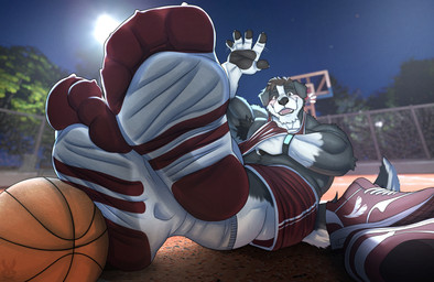 4_toes 5_fingers anthro armpit_hair ball basketball basketball_(ball) black_body black_fur black_pawpads blush bodily_fluids body_hair bottomwear bottomwear_down brown_eyes claws clothed clothing feet fingers foot_fetish foot_focus footwear fur humanoid_feet looking_at_viewer lying male male_anthro multicolored_body muscular muscular_anthro muscular_male night open_mouth outside pawpads paws plant plantigrade red_bottomwear red_clothing red_footwear red_shoes shirt shoes shorts sock_fetish socks soles solo sportswear tail tank_top toes topwear tree uniform white_body white_clothing white_footwear white_fur wrinkled_feet wrinkles flufflecraft border_collie canid canine canis collie domestic_dog herding_dog mammal pastoral_dog sheepdog hi_res