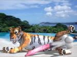 3d animal_genitalia balls beach big_balls big_penis cgi erection feline feral fur hyper looking_at_viewer lying male mammal on_side orange_fur pawpads penis presenting seaside solo spreading tapiko tiger tongue tongue_out white_fur
Rating: Explicit
Score: -8
User: DSTakumiDerp
Date: March 03, 2014