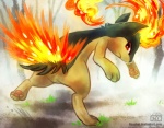 ambiguous_gender feral fire red_eyes solo haychel nintendo pokemon generation_2_pokemon pokemon_(species) quilava digital_media_(artwork)