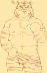 anthro belly bulge clothing humanoid_hands male moobs navel nipples slightly_chubby solo underwear kondo_musashi musabo3neo felid mammal pantherine tiger 2017