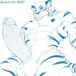 anthro balls bodily_fluids circumcised erection genital_fluids genitals looking_at_viewer male navel nude penis precum solo text vein veiny_penis sollyz felid mammal pantherine tiger 1:1 2017 blue_and_white digital_media_(artwork) english_text hi_res monochrome signature sketch
