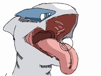 ambiguous_gender feeding feral mouth_shot neck_bulge open_mouth solo xxvvxx nintendo pokemon generation_2_pokemon legendary_pokemon lugia pokemon_(species) animated animated_gif digital_media_(artwork) ibispaint_(artwork) loop short_playtime