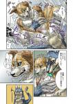 absurd_res akumademo anal anal_penetration anthro anus aogoushitsu aozora_(nosada) balls blue_body blue_penis canid canine canis comic dialogue domestic_dog dominant dominant_male duo erection forced genitals grey_background hi_res humanoid_genitalia humanoid_penis japanese_text licking male male/male male_penetrated male_penetrating male_penetrating_male mammal penetration penis questionable_consent rape sex simple_background submissive submissive_male text tongue tongue_out translation_request wolf