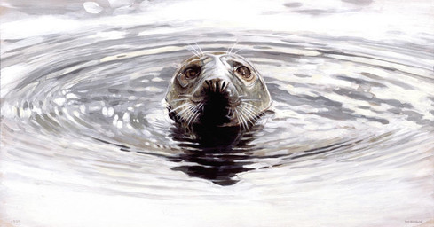 brown_eyes feral fur grey_body grey_fur looking_at_viewer partially_submerged photorealism realistic realistic_feral ripples short_fur solo whiskers renum63 aquatic grey_seal mammal pinniped seal 2014 acrylic_painting_(artwork) painting_(artwork) traditional_media_(artwork) traditional_painting_(artwork)