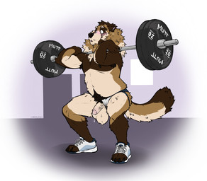 anthro armpit_hair ball_slip balls barbell big_balls blush bodily_fluids body_hair brown_body brown_fur clothed clothing crouching erection footwear fur furgonomic_footwear furgonomics genital_fluids genitals humanoid_genitalia humanoid_penis jockstrap male male_anthro musclegut muscular muscular_anthro muscular_male nipples penis penis_poking_out penis_through_leghole pink_penis precum precum_string pubes slightly_chubby slightly_chubby_anthro slightly_chubby_male solo tail tan_body tan_fur tan_penis topless topless_anthro topless_male underwear vein veiny_penis wardrobe_malfunction labradorszn canid canine mammal raccoon_dog tanuki 2025 hi_res