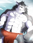 abs anthro bed biceps big_muscles biped bulge chest_tuft clothed clothing detailed_bulge fur furniture genital_outline lying male markings muscular muscular_anthro muscular_male nipples pecs penis_outline pose scar solo tail topless tuft underwear debirobu sega shining_(sega) shining_force shining_wind rouen_(shining) canid canine canis mammal wolf