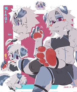 4_toes accessory anthro barefoot black_bottomwear black_clothing black_topwear blue_body blue_fur blush bottomwear claws clothed clothing exclamation_point feet fingers floppy_ears foot_focus footwear fur hair headband knee_pads looking_at_viewer male male_anthro multicolored_body multicolored_fur open_mouth pawpads paws pink_pawpads plantigrade purple_eyes shirt shorts simple_background sitting smile socks soles solo stirrup_socks toe_claws toes topwear tuft white_body white_clothing white_fur white_hair young chengxiansenowu canid canine canis domestic_dog mammal hi_res