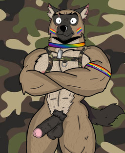 anthro balls black_balls black_body black_fur black_penis black_pubes body_hair brown_body brown_fur chest_hair collar countershade_torso countershading erection fur genitals glans half-erect harness humanoid_genitalia humanoid_penis lgbt_pride looking_at_viewer male nipples nude nude_anthro nude_male pecs penis pride_color_flag pride_colors pubes scar solo white_body white_fur ivan_the_artist pixie_and_brutus brutus_(pixie_and_brutus) canid canine canis domestic_dog german_shepherd herding_dog mammal pastoral_dog 2026 hi_res