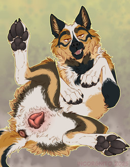 anatomically_correct anatomically_correct_genitalia anatomically_correct_vulva animal_genitalia animal_vulva anus bedroom_eyes blue_body blue_fur bodily_fluids brown_body brown_fur canine_genitalia canine_vulva claws detailed_genitals dripping feet female feral fur genital_fluids genitals looking_at_viewer lying narrowed_eyes on_back open_mouth orange_eyes pawpads paws presenting presenting_anus presenting_vulva realistic seductive simple_background smile smirk solo tail tan_body tan_fur teeth tongue vulva white_body white_fur yellow_eyes incorgnito kiba_wolfdog canid canine canis domestic_dog hybrid mammal wolf wolfdog 2025 absurd_res hi_res