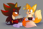 anthro clothing duo electronics footwear game_console half-closed_eyes happy male male/male narrowed_eyes open_mouth socks switch_console white_clothing white_footwear white_socks zombieeparty nintendo nintendo_switch sega sonic_the_hedgehog_(series) miles_prower shadow_the_hedgehog canid canine eulipotyphlan fox hedgehog mammal hi_res