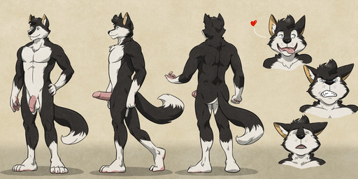 anthro balls circumcised erection flaccid genitals humanoid_genitalia humanoid_penis male penis side_view solo tail turnaround wfa tidus_(character) canid canine canis mammal wolf model_sheet