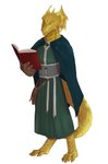 4_fingers 4_toes book claws clothed clothing digitigrade feet fingers gloves handwear male reading reading_book robe scales solo standing toes dogscavenger dungeons_and_dragons hasbro wizards_of_the_coast darasv half-dragon scalie absurd_res hi_res