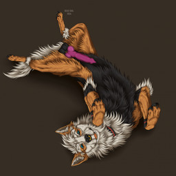 animal_genitalia animal_penis balls black_balls black_body black_fur black_pawpads blep blue_eyes brown_background canine_genitalia canine_penis cheek_tuft chest_tuft erection facial_piercing facial_tuft feral fur genitals inner_ear_fluff lying male male_feral neck_tuft nose_piercing nose_ring on_back orange_body orange_fur pawpads penis piercing purple_penis ring_piercing septum_piercing septum_ring simple_background solo tongue tongue_out tuft white_body white_fur white_inner_ear_fluff msdeadsoul canid canine mammal 1:1 hi_res