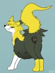 anatomically_correct anatomically_correct_genitalia anatomically_correct_pussy animal_genitalia animal_pussy anus bedroom_eyes belly big_belly black_pussy butt canine_genitalia canine_pussy female feral flagging fur genitals half-closed_eyes huge_belly inviting looking_at_viewer multi_nipple narrowed_eyes nipples pregnant pregnant_female pregnant_feral presenting presenting_pussy pussy quadruped raised_tail seductive simple_background smile smirk solo standing tail teasing heliofox nintendo pokemon rachel_(devsoftpaw) boltund canid canine canis generation_8_pokemon mammal pokemon_(species) digital_media_(artwork) hi_res