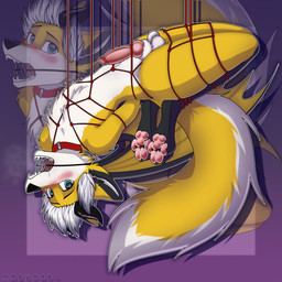 anthro bdsm black_body black_fur bodily_fluids bondage bound collar drooling fur gag gagged hair hands_behind_back horn knot male open_mouth open_mouth_gag paws red_rope restraints ring_gag rope rope_bondage rope_harness saliva solo submissive submissive_anthro submissive_male teeth tongue white_body white_fur white_hair wings yellow_body yellow_fur miavumav mythology alec_(aleccarter) canid canine dragon fox hybrid mammal mythological_creature mythological_scalie scalie 1:1 absurd_res hi_res