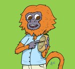 4_fingers anthro blue_clothing blue_shirt blue_topwear bottomwear brown_eyes chest_tuft clothing dress_shirt fingers fur green_background male orange_body orange_fur pants playing_music shirt simple_background solo tan_bottomwear tan_clothing tan_pants topwear tuft zigmenthotep callitrichid golden_lion_tamarin haplorhine lion_tamarin mammal monkey new_world_monkey primate 2021 digital_drawing_(artwork) digital_media_(artwork) signature