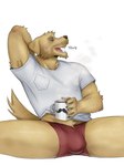 anthro biped blush boxer_briefs bulge clothed clothing hair male male_anthro shirt simple_background smile solo t-shirt tail text topwear underwear lucekracoon bird_dog canid canine canis domestic_dog golden_retriever hunting_dog mammal retriever 3:4 digital_media_(artwork) english_text