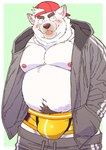 anthro backwards_baseball_cap backwards_hat baseball_cap belly blush bottomwear bottomwear_down bulge clothed clothing hat headgear headwear kemono male moobs navel nipples overweight overweight_male pants pants_down partially_clothed simple_background solo tongue tongue_out underwear ryuta-h canid canine mammal 2024 hi_res