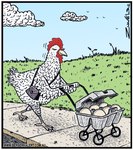 anthro beak biped border cloud egg egg_carton eyes_closed grass humor outside plant purse solo standing stroller text white_border tony_zuvela avian bird chicken galliform gallus_(genus) phasianid comic url