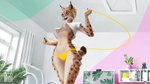 anthro areola biped breasts brown_body brown_fur clothing dots female fur green_eyes jump_rope looking_down nipples open_mouth panties shirt solo topwear under_boob underwear upshirt white_body white_fur oini pepe_the_frog bobcat felid feline lynx mammal 16:9 hi_res meme widescreen