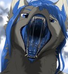 anthro blue_eyes blue_flesh blue_hair blue_insides blue_mouth blue_nose blue_tongue blurred_background bodily_fluids fur grey_body grey_fur hair male mouth_shot open_mouth saliva saliva_on_tongue saliva_string solo teeth throat tongue uvula voregence taithefox canid canine mammal bust_portrait hi_res portrait