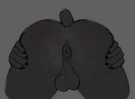 anthro anus balls black_body black_fur body_hair butt butt_hair butt_shot fur genitals male perineum presenting presenting_anus puffy_anus rear_view short_tail simple_background solo spread_butt spreading tail sourbear beastars gouhin_(beastars) spade_(sourbear) bear giant_panda mammal digital_media_(artwork) hi_res