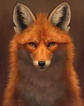 ambiguous_gender black_ears black_nose black_whiskers copyright_symbol feral fluffy front_view fur multicolored_body multicolored_fur orange_body orange_fur solo symbol text whiskers chiakiro canid canine fox mammal red_fox true_fox 2020 url