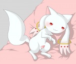 :3 erection feral genitals incubator_(puella_magi) kyubey long_ears long_tail lying male nude on_side penis pillow pisho puella_magi puella_magi_madoka_magica red_eyes ring solo tail