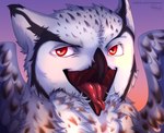 anthro beak feathers gaping_mouth looking_at_viewer male mouth_shot open_mouth red_eyes solo text white_body white_feathers littleparrot thieu_(thieutheowl) avian bird eurasian_eagle-owl horned_owl owl true_owl hi_res url