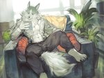 2020 4_fingers 4_toes abs absurd_res anthro biped blue_eyes bottomwear brand_new_animal canid canine canis claws clothed clothing day digital_media_(artwork) digital_painting_(artwork) dr.kiyo feet fingers fur furniture grey_body grey_fur hi_res holding_object inside kemono looking_at_object male mammal muscular muscular_anthro muscular_male neck_tuft netflix open_clothing open_shirt open_topwear pants pecs pillow plant plant_pot potted_plant reading shirou_ogami shirt sitting sofa solo spread_legs spreading studio_trigger toes topwear translucent_object tuft wolf