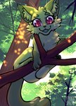 branch female feral forest forest_background fur green_body green_fur in_tree light looking_from_below nature nature_background perspective plant purple_eyes solo sunlight tree froggsalt domestic_cat felid feline felis mammal hi_res