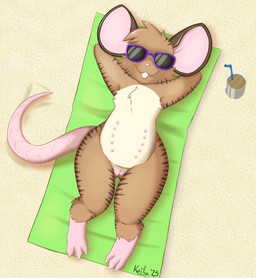 beach beverage brown_body brown_fur buckteeth eyewear female fur genitals mouse_ears mouse_tail nipples nude nude_female sand semi-anthro solo striped_body striped_fur stripes sunglasses sunning teats teeth towel vulva kerilyn mammal murid murine rodent hi_res