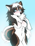 2020 anthro biped black_nose blue_eyes blush breasts brown_body brown_fur canid canine canis digital_media_(artwork) domestic_dog featureless_breasts female fluffy fluffy_tail fur hair hi_res looking_at_viewer mammal multicolored_body multicolored_fur multicolored_hair navel nayel-ie solo tail translucent translucent_hair two_tone_hair whiskers white_body white_fur