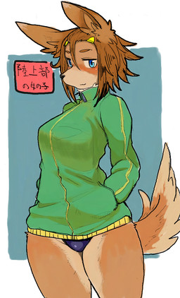 anthro blush breasts canine clothed clothing dog female hair hi_res jacket japanese_text mammal one-piece_swimsuit solo swimsuit text thick_thighs toco_(artist) translated

Rating: Questionable
Score: 17
User: Kinzhal
Date: January 09, 2016