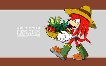 anthro corn cucumber eggplant food fruit male melon plant solo text tomato vegetable watermelon yuji_uekawa sega sonic_channel sonic_the_hedgehog_(series) knuckles_the_echidna echidna mammal monotreme 16:10 english_text hi_res official_art wallpaper widescreen