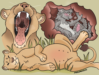 abdominal_bulge animal_genitalia animal_penis anthro belly bodily_fluids breath duo erection feline_genitalia feline_penis female feral feral_pred genitals happy male male/female open_mouth oral_vore organs panting penis saliva sheath stomach stomach_acid tongue tongue_out vore willing_prey x-ray_view marsamongus domestic_cat felid feline felis lion mammal pantherine absurd_res hi_res