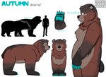 feral quadruped solo text impliedrainbows annabelle_autumn_pines bear brown_bear kodiak_bear mammal ursine absurd_res digital_media_(artwork) english_text hi_res model_sheet